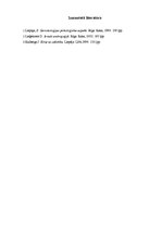 Referāts 'Gerontoģenēzes klienta raksturojums vēlīnajā vecumā', 8.