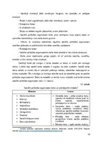 Referāts 'Sociālās palīdzībs organizatora profesionālā darbība un izaugsme', 10.