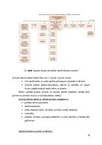 Referāts 'Sociālās palīdzībs organizatora profesionālā darbība un izaugsme', 18.