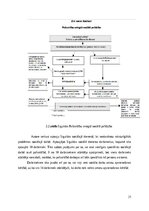 Referāts 'Sociālās palīdzībs organizatora profesionālā darbība un izaugsme', 21.