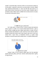 Referāts 'Sociālās palīdzībs organizatora profesionālā darbība un izaugsme', 23.