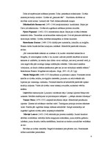 Referāts 'Renesanses laika filosofija un populārākie filosofi renesanses laikos', 9.