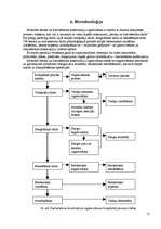 Referāts 'Monolīta dzelzsbetona pārsegumi', 13.