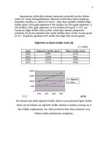 Biznesa plāns 'Biznesa plāns kāzu salonam', 17.