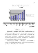 Biznesa plāns 'Biznesa plāns kāzu salonam', 19.