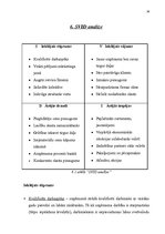 Biznesa plāns 'Biznesa plāns kāzu salonam', 26.