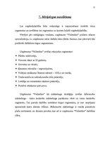 Biznesa plāns 'Biznesa plāns kāzu salonam', 31.