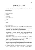 Biznesa plāns 'Biznesa plāns kāzu salonam', 37.