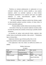 Biznesa plāns 'Biznesa plāns kāzu salonam', 41.