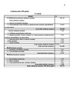 Biznesa plāns 'Biznesa plāns kāzu salonam', 48.