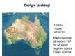 Prezentācija 'Austrālijas dabas resursi', 10.
