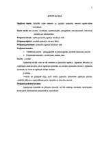 Diplomdarbs 'Sociālās vides ietekme uz jaunāko pusaudžu vecuma agresivitātes veidošanos', 2.