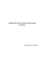Referāts 'Stratēģiskā plāna izstrādāšana Iekšlietu ministrijā un izpildes nodrošināšana', 1.