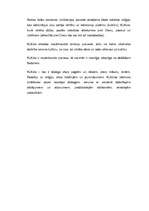 Referāts 'Kultūras jēdziens, tā daudzveidīgais lietojums', 6.