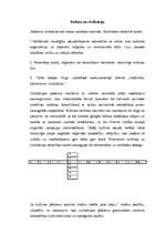 Referāts 'Kultūras jēdziens, tā daudzveidīgais lietojums', 7.