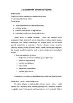 Biznesa plāns 'Uzņēmuma "XXY" biznesa plāns', 4.