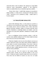 Biznesa plāns 'Uzņēmuma "XXY" biznesa plāns', 6.