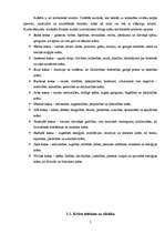 Referāts 'Krāsas cilvēka dzīvē', 6.