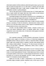 Referāts 'Krāsas cilvēka dzīvē', 9.