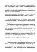 Referāts 'Krāsas cilvēka dzīvē', 10.