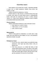 Referāts '"ABC kempings" viesnīcas iespēju analīze', 3.