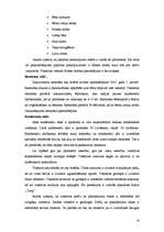 Referāts '"ABC kempings" viesnīcas iespēju analīze', 14.