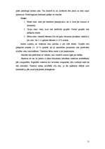 Referāts '"ABC kempings" viesnīcas iespēju analīze', 15.