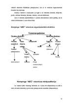 Referāts '"ABC kempings" viesnīcas iespēju analīze', 19.