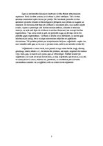 Referāts 'Veģetārisms', 3.