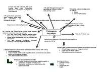 Konspekts 'Pārdaugavas hercogiste - inflantija', 1.