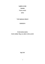 Referāts 'Valsts ieņēmumu dienests', 1.