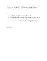 Eseja 'EU`s Budget, Finances and Economy Development The Budget of the EU: Structure an', 5.