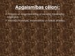 Prezentācija 'Eiropa un Amerika 16.gadsimta beigās - 18.gadsimtā', 14.