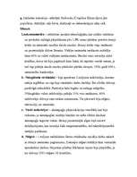 Konspekts 'Situācija ASV 20.gs. 20.gados', 3.