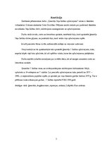 Referāts 'Jānis Indāns', 3.