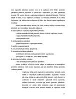 Referāts 'Personālvadība uzņēmumā', 31.