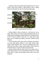 Diplomdarbs 'Daugavpils cietokšņa multifunkcionālais kultūras centrs', 17.