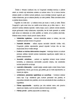 Diplomdarbs 'Daugavpils cietokšņa multifunkcionālais kultūras centrs', 19.