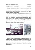 Diplomdarbs 'Daugavpils cietokšņa multifunkcionālais kultūras centrs', 25.