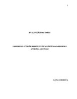 Diplomdarbs 'Sabiedrisko attiecību efektivitātes novērtēšana sabiedrisko attiecību aģentūrās', 1.