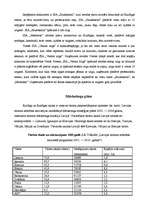 Biznesa plāns 'Biznesa plāns "Ventas zirgs"', 8.