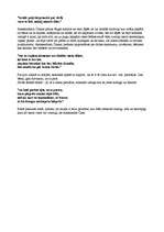 Referāts 'Rīgas nomale Aleksandra Čaka dzejā', 5.