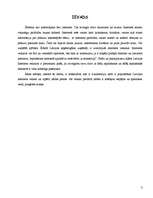 Referāts 'Iepirkšanās internetā', 3.