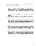 Referāts 'Iepirkšanās internetā', 5.