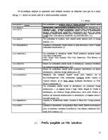 Referāts 'Iepirkšanās internetā', 12.