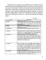 Referāts 'Iepirkšanās internetā', 13.