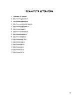 Referāts 'Iepirkšanās internetā', 16.