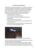 Referāts 'Bezvadu elektroenerģijas pārvade un Hathinsona efekts', 19.