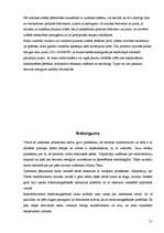 Referāts 'Bezvadu elektroenerģijas pārvade un Hathinsona efekts', 21.