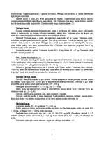 Referāts 'Kazkopība', 5.